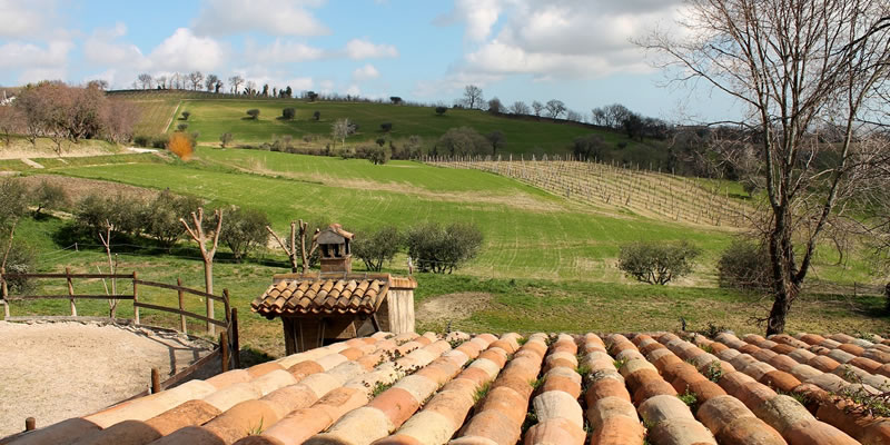 Agriturismo La Meridiana